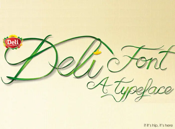 Read more about the article Designing A Typeface Made of Real Plants For A Vegetable Margarine.