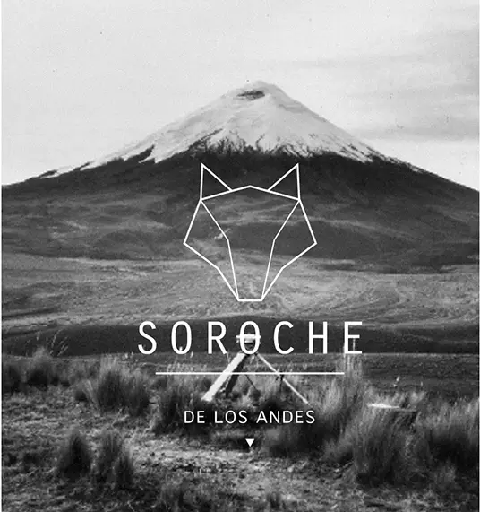 soroche logo home1