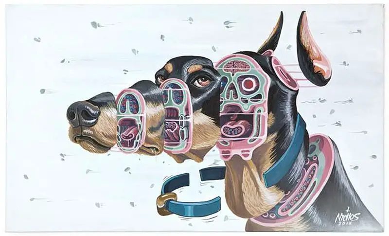 Cross section of a Doberman Nychos IIHIH