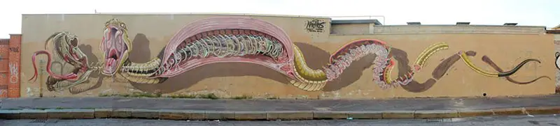 Dissection of a Snake (Torino,Italy April 2013) Nychos, IIHIH