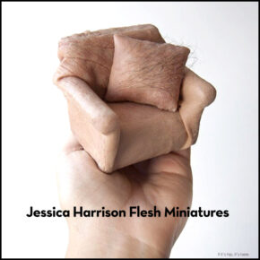 Jessica Harrison’s Flesh Series of Miniatures Will Make Your Skin Crawl.