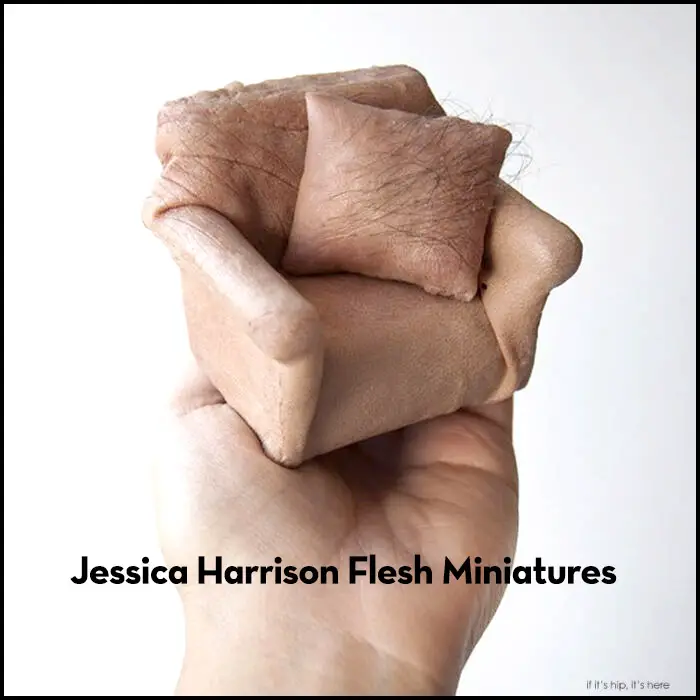 Read more about the article Jessica Harrison’s Flesh Series of Miniatures Will Make Your Skin Crawl.