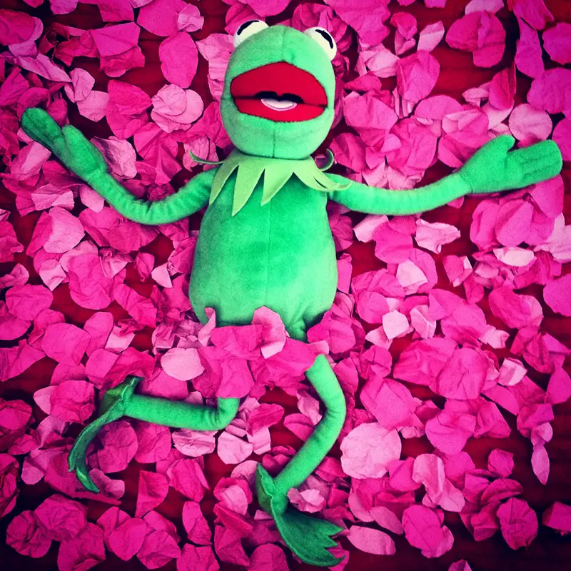Kermit in American Beauty