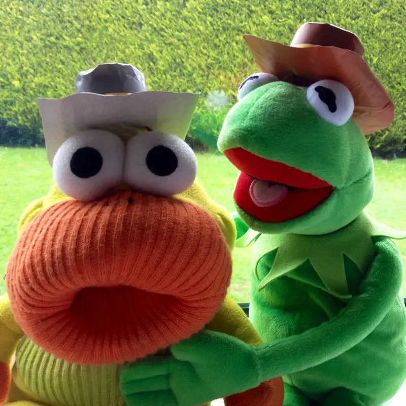 Kermit in Brokeback Mountain