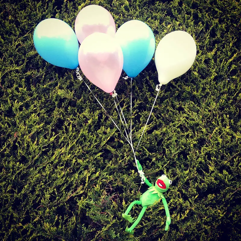 Kermit in Up