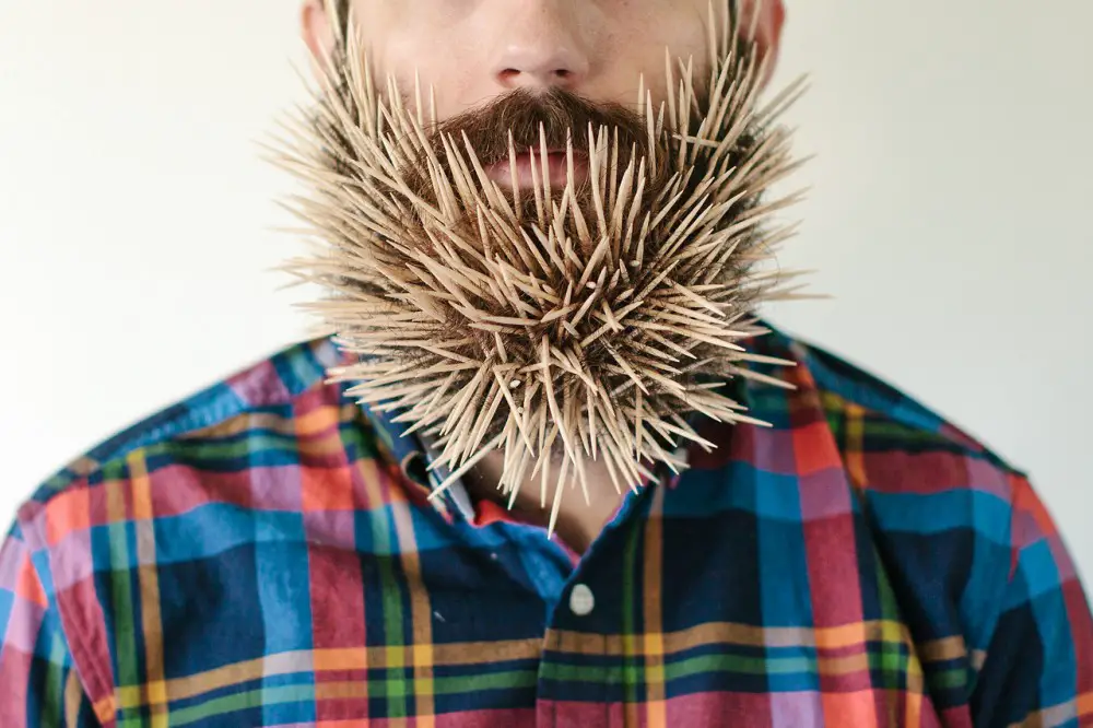 toothpick beard Will It Beard?