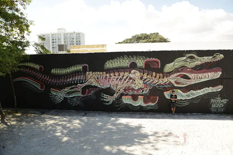 dissection of a gator (miami 2013) Nychos IIHIH