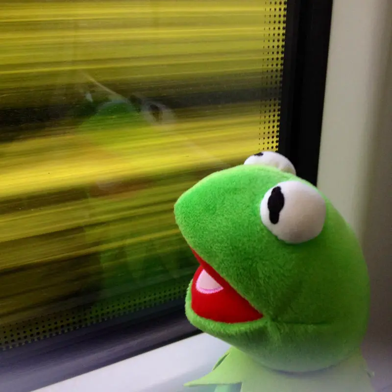 kermit in trainspotting