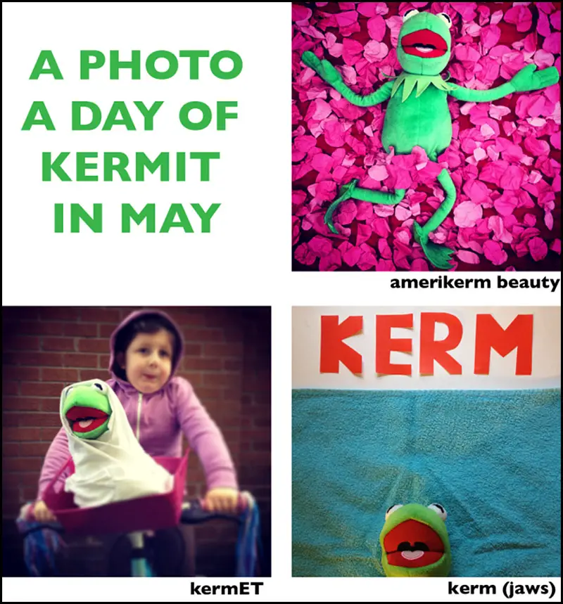 kermit photo a day hero IIHIH