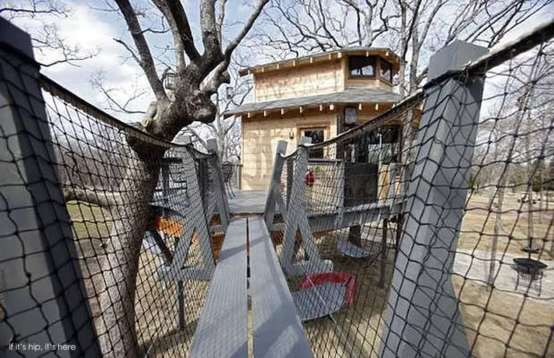 suspension bridge to treehouse