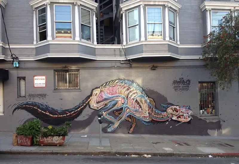 x-ray of a wolf intersection of haight and Ahbury SF California 2014 IIHIH