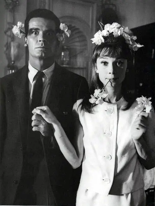 james garner and audrey hepburn