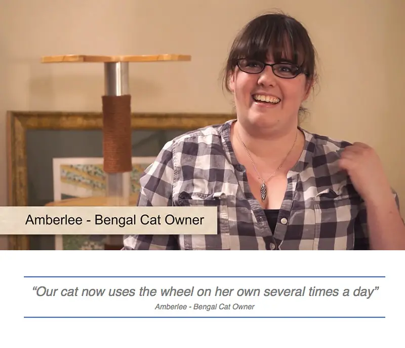 Amberlee cat owner