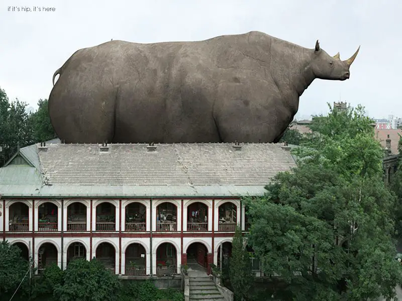 lui di