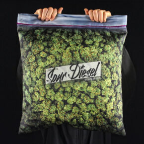 Home Decor For The Chronic Inclined – The Giant Stash Pillowcase.