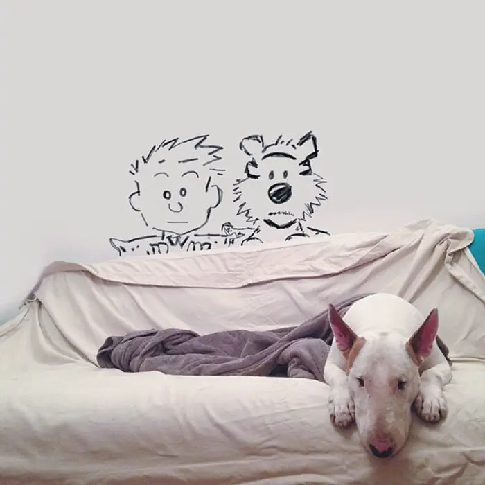 Rafael Mantesso and Jimmy Choo the bull terrier