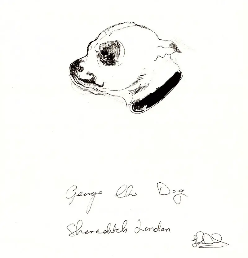 drawings of george the dog