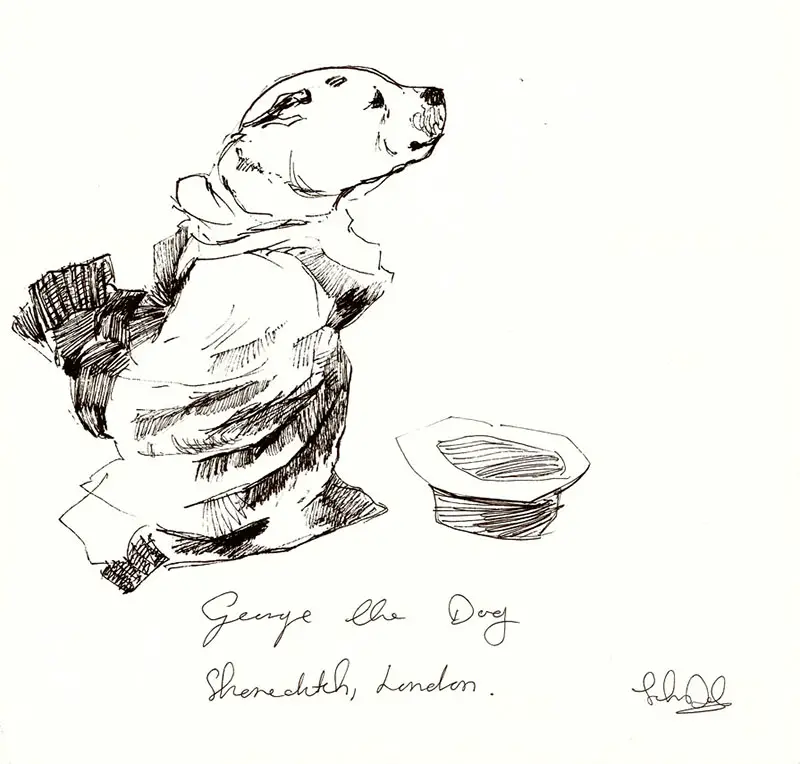 dog sketches john dolan