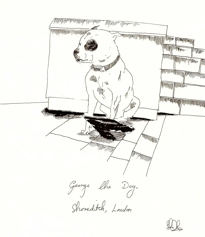 drawings of george the dog