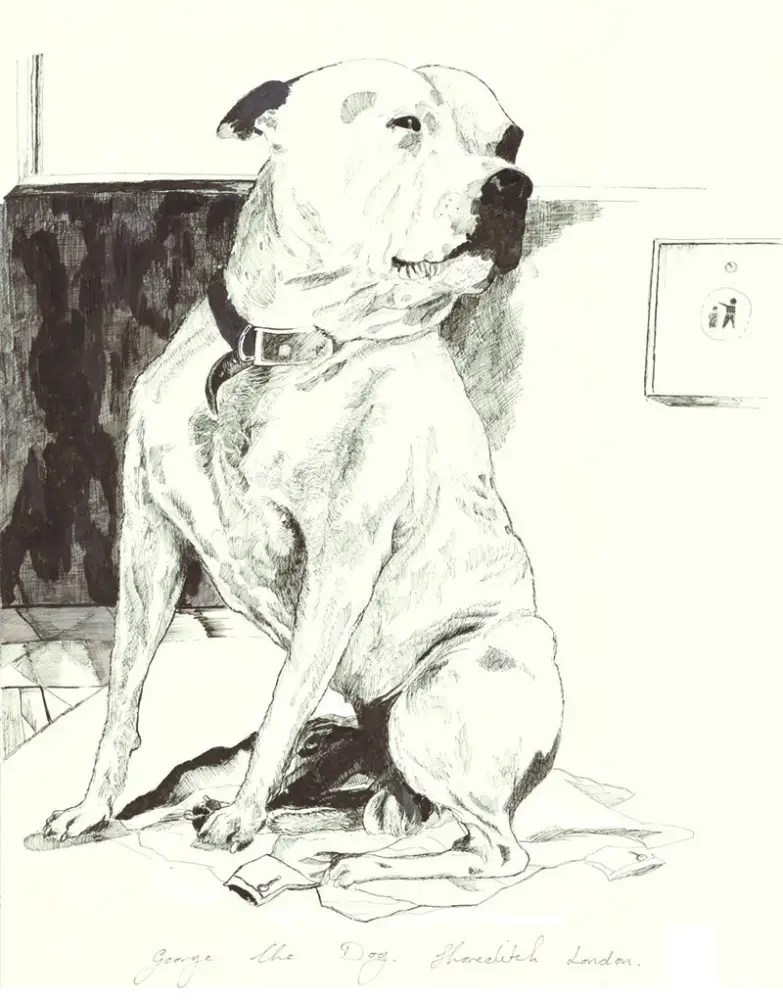 drawings of staffies