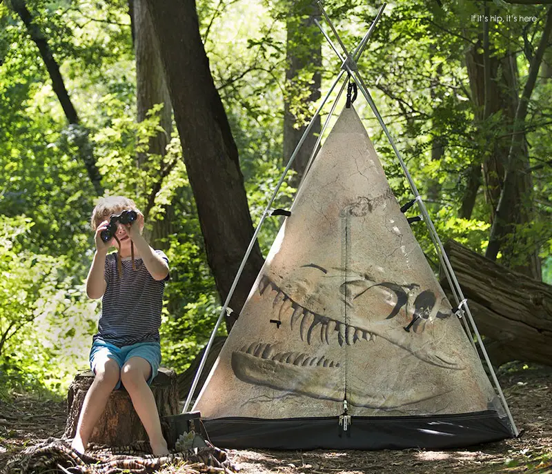 boy in woods with rock of ages IIHIH