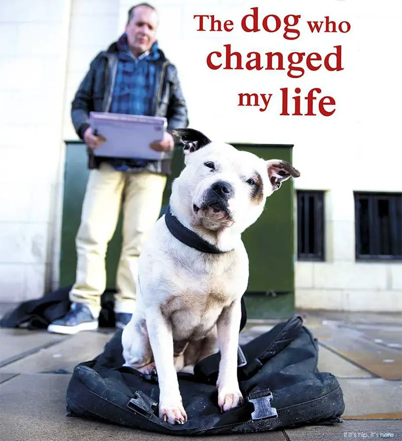 the dog who changed my life