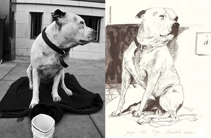 dog inspires homeless artist