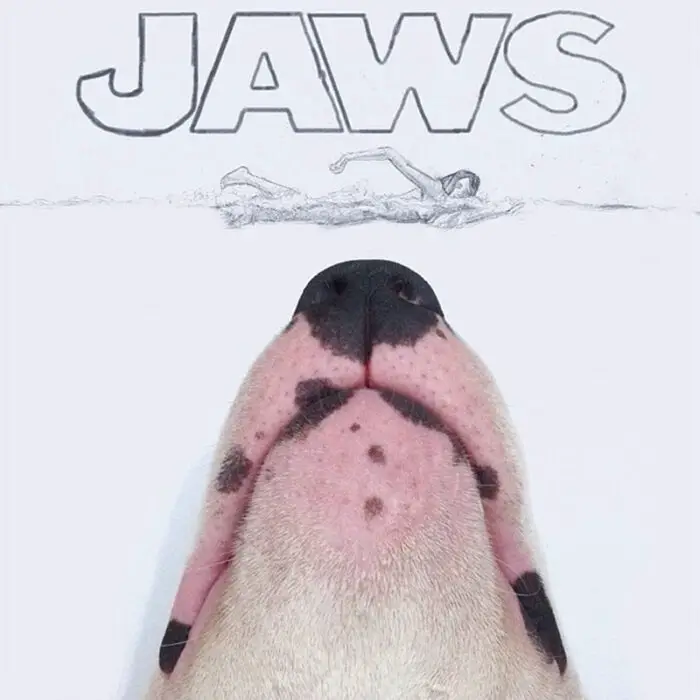 Rafael Mantesso's Bull Terrier JAWS art