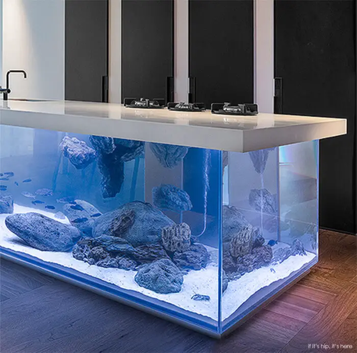 aquarium in kitchen