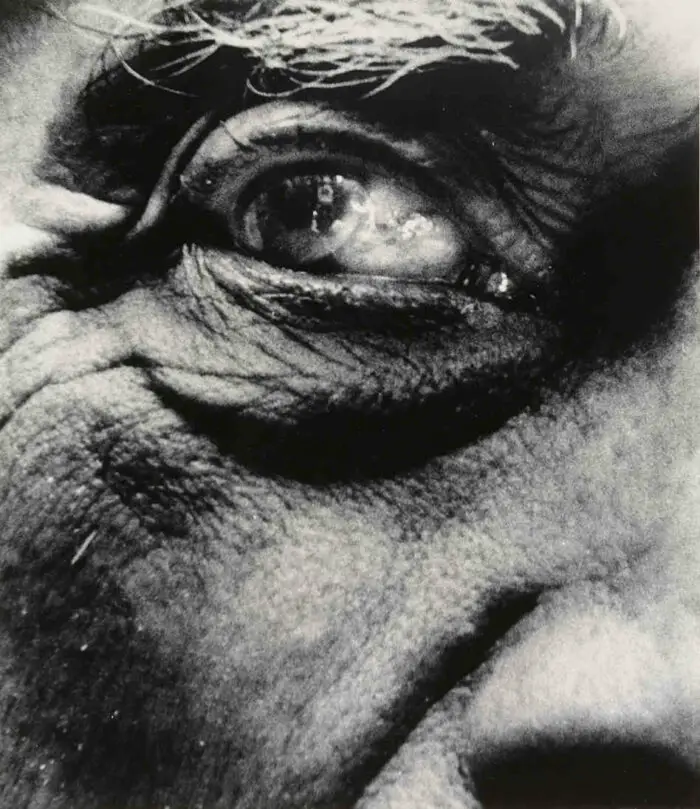 original bill brandt eye