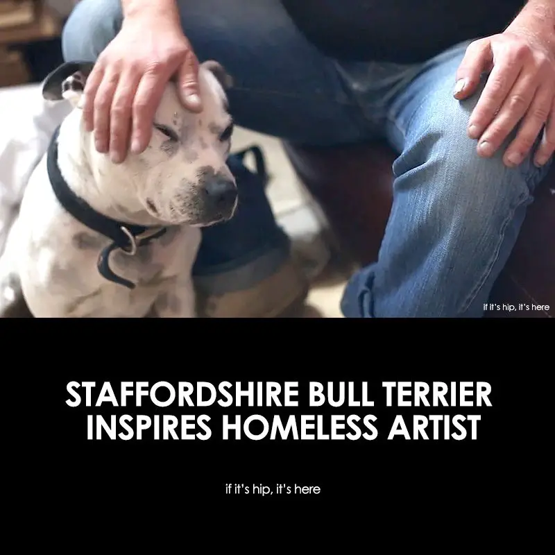 dog inspires homeless artist