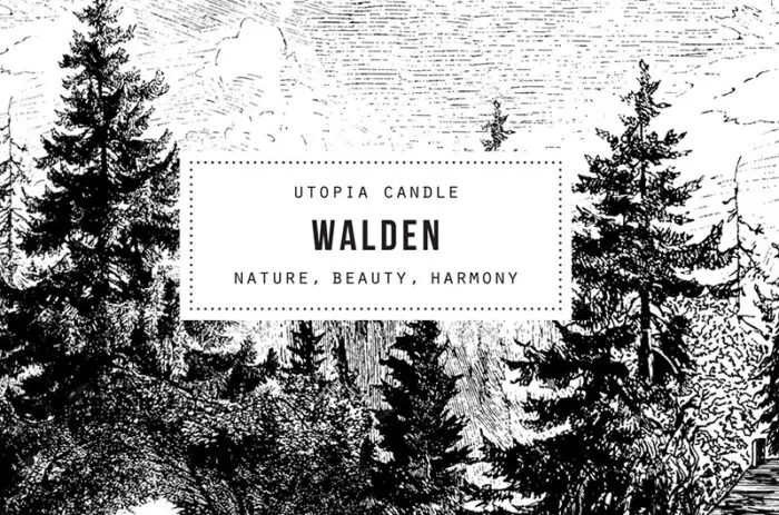 walden_category_graphic