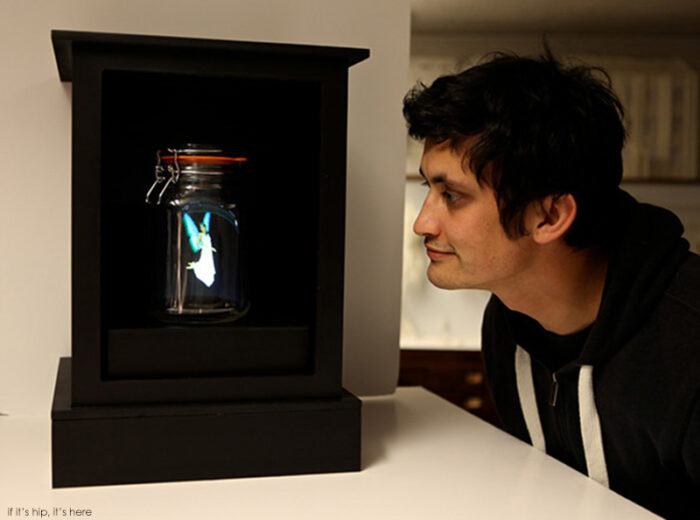 Holographic Fairies in Jars