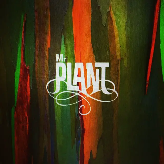 Mr. Plant Nike Just Grow It!