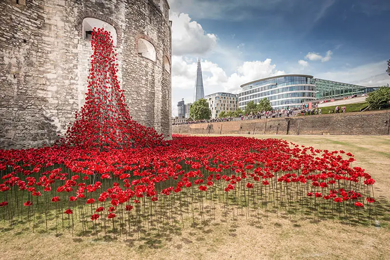 poppies at the tower of london