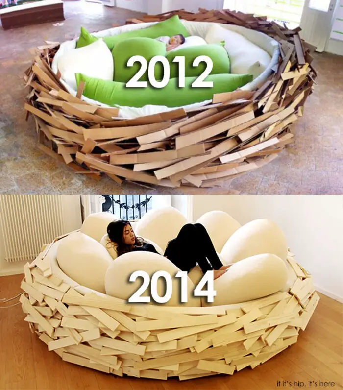 nest bed evolution IIHIH