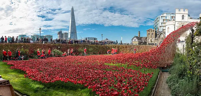 Poppies Overtake The Tower of London