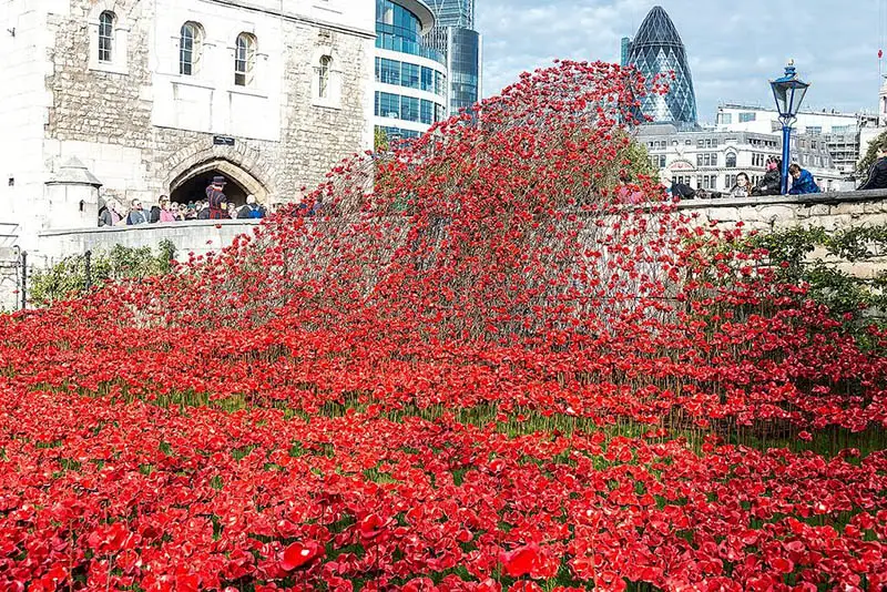 armistice day tower of london