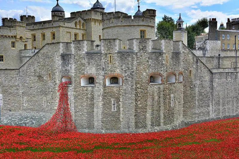 tower+of+london+poppies+