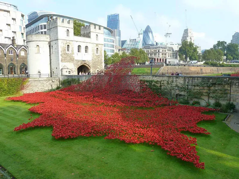 poppies+Blood+Swept+Lands+and+Seas