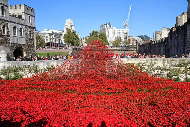 vceramic poppies at tower of london