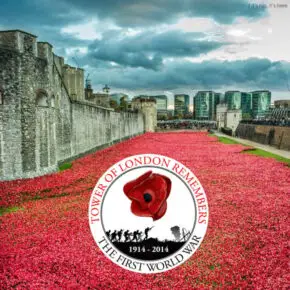 888,246 Ceramic Poppies Overtake The Tower of London. See How It Was Done.