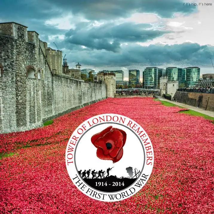 tower of london poppies installation Armistice Day IIHIH