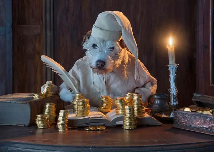 dog dressed as scrooge