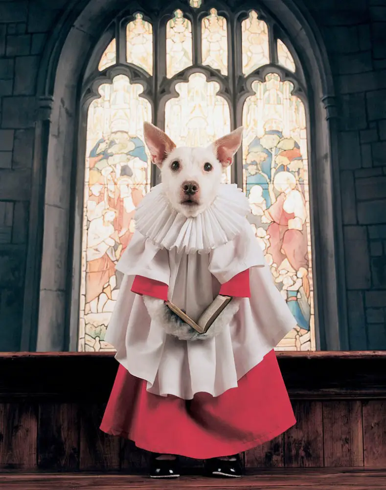 dog as choirboy