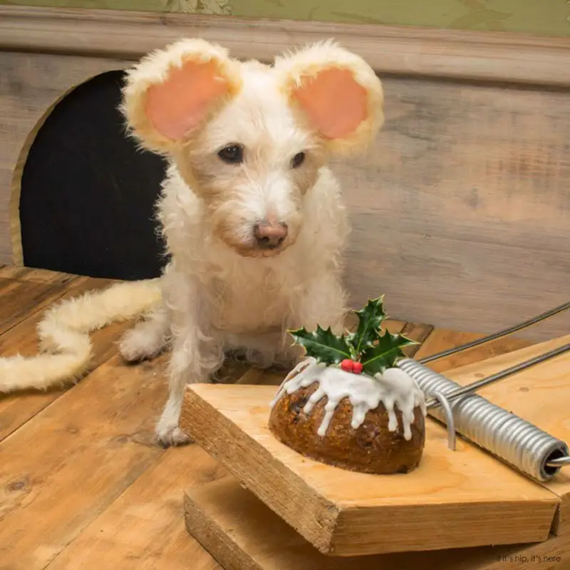'Little Nipper' dog dressed as mouse