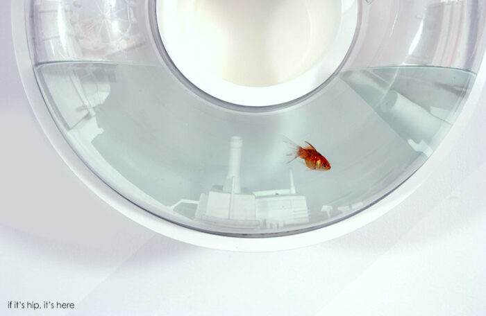 Raw-Edges_ Flying Fish Bowl _003