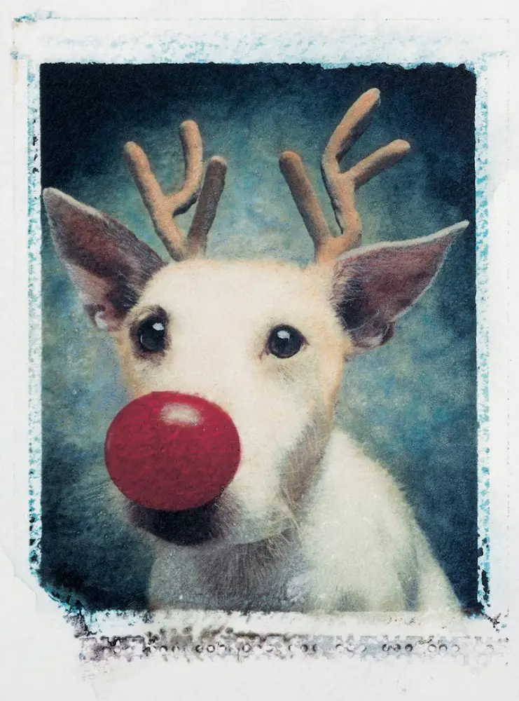 'Rudolph' Paddy 1990 card IIHIH