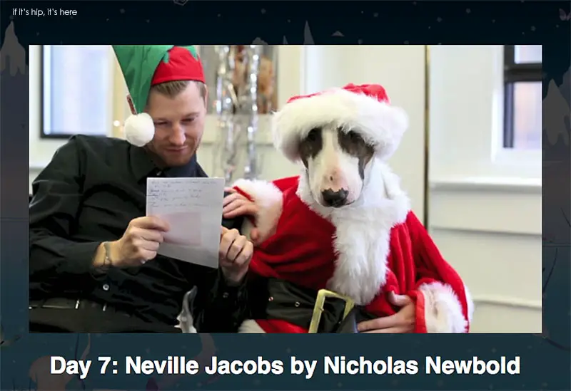 Day 7: Neville Jacobs by Nicholas Newbold