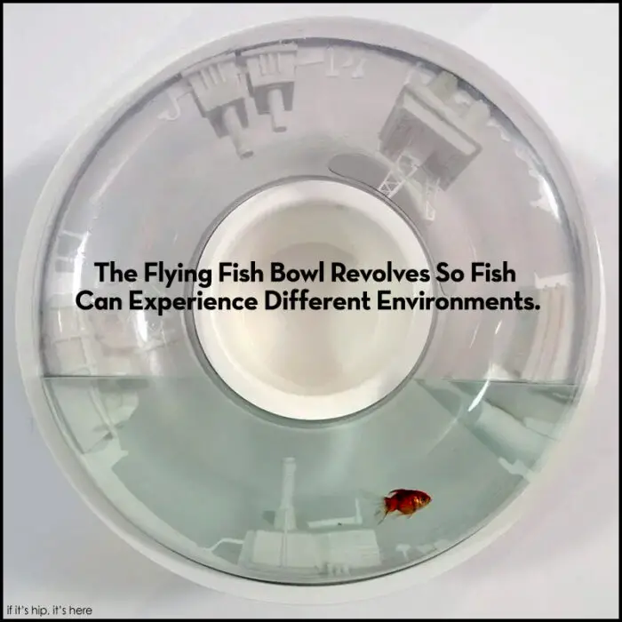 Read more about the article A Revolving Fish Tank. The Flying Fish Bowl by Raw Edges.